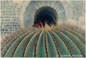 Oaxaca